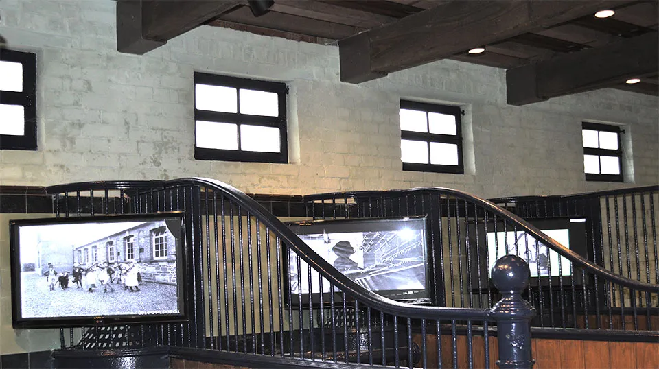 The Museum